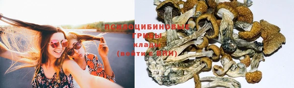 герыч Бронницы