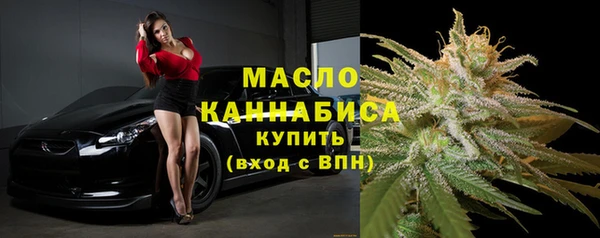 СК Бородино