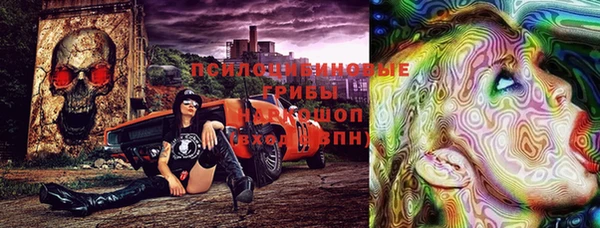 СК Бородино