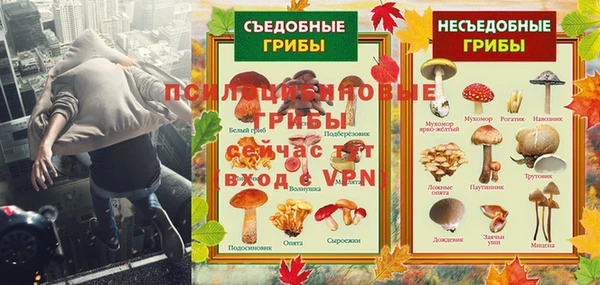 герыч Бронницы