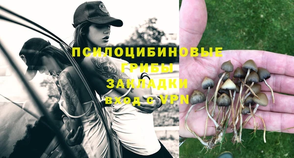 герыч Бронницы