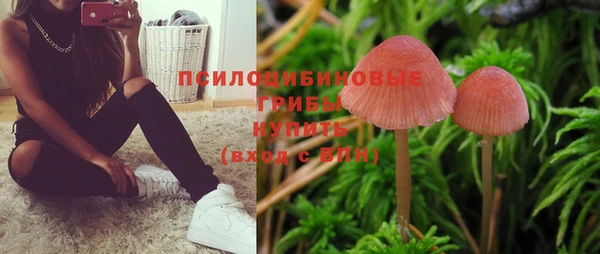 СК Бородино