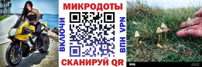 мега ссылки  купить   Верхотурье  Псилоцибиновые грибы Magic Shrooms 
